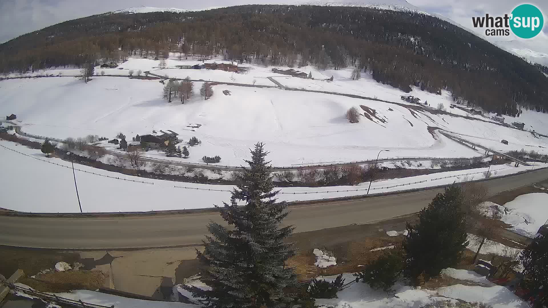 Livigno webcam LIVE Hotel Primula