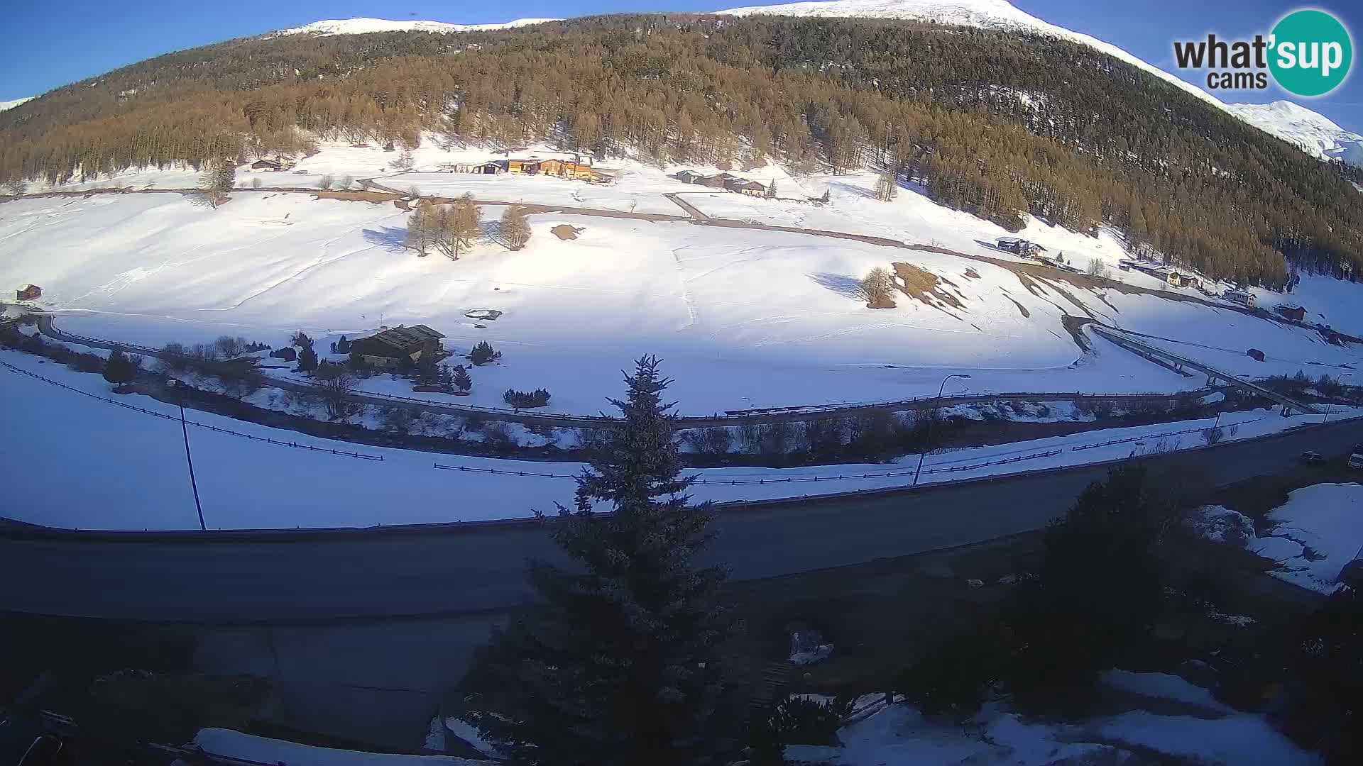 Livigno webcam LIVE Hotel Primula