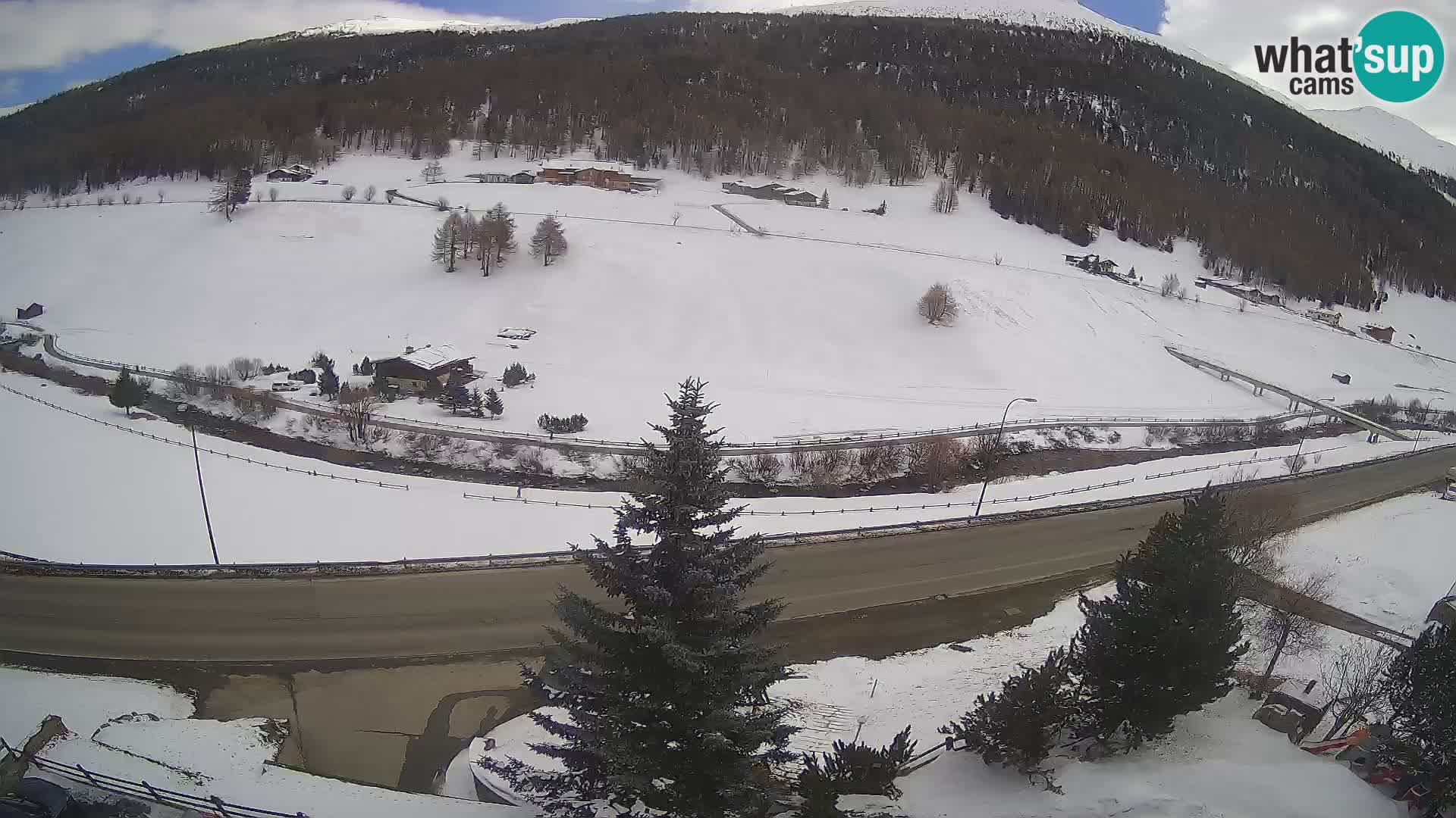 Webcam Livigno Hotel Primula