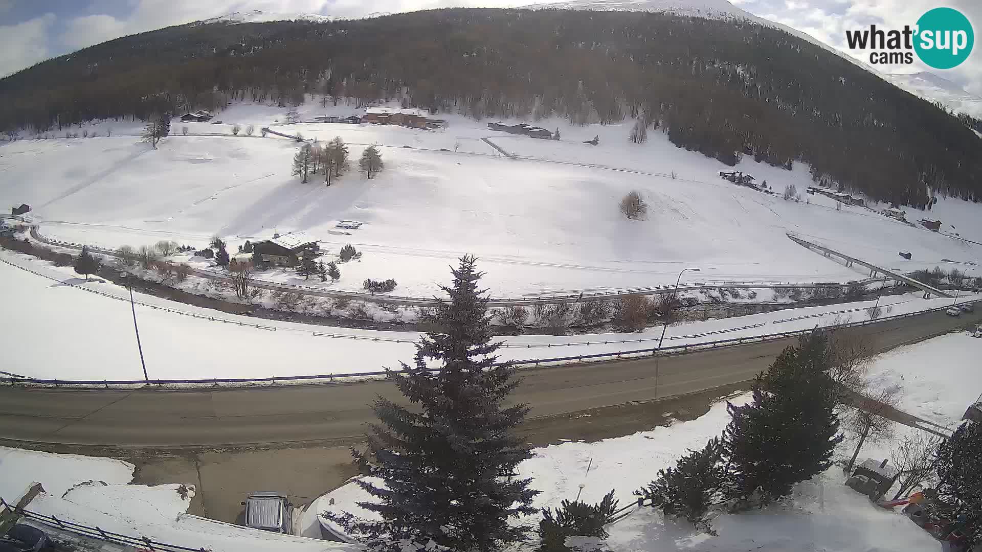 Livigno Cam Hotel Primula | Livigno smučišče
