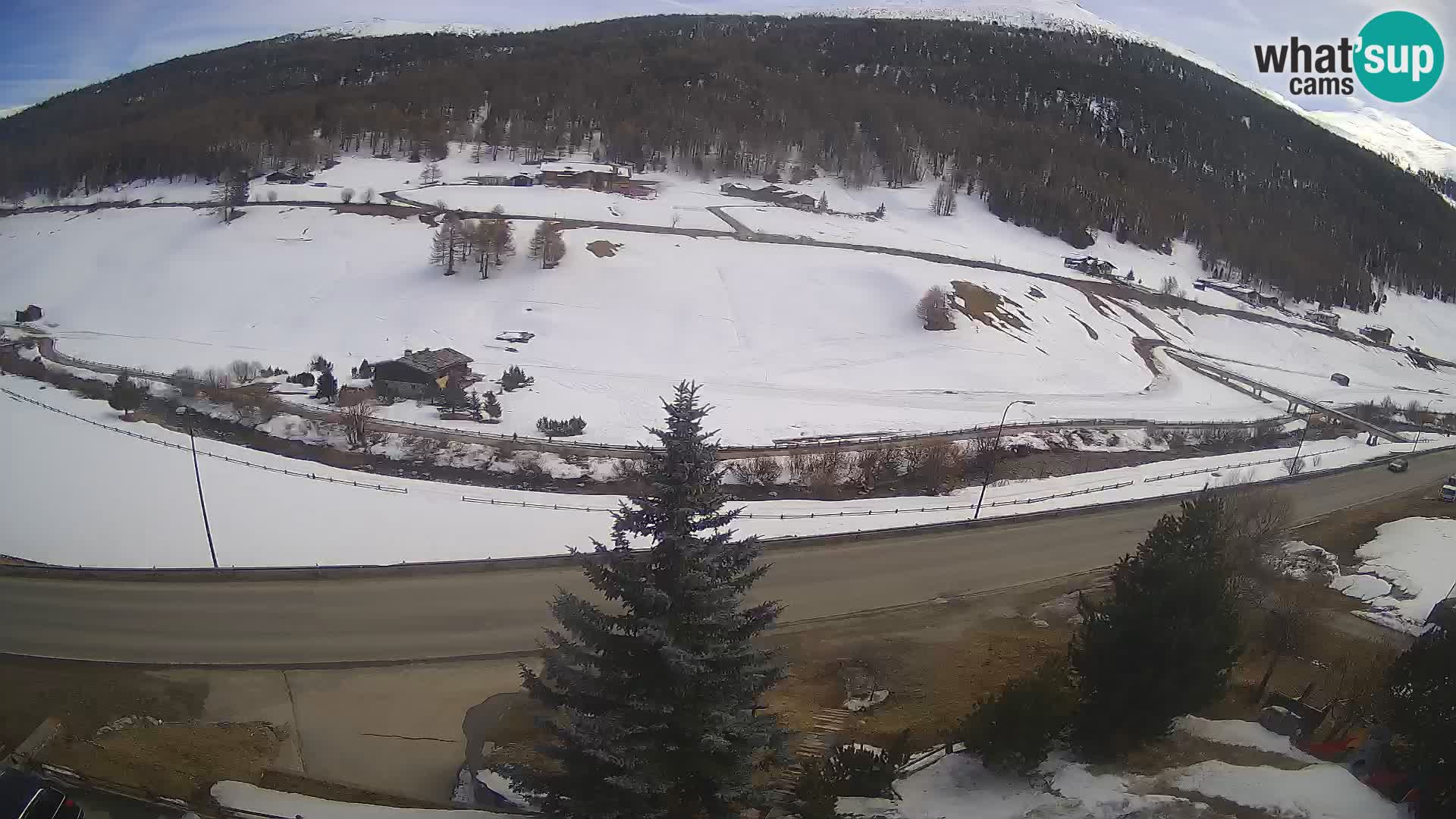 Webcam Livigno Hotel Primula