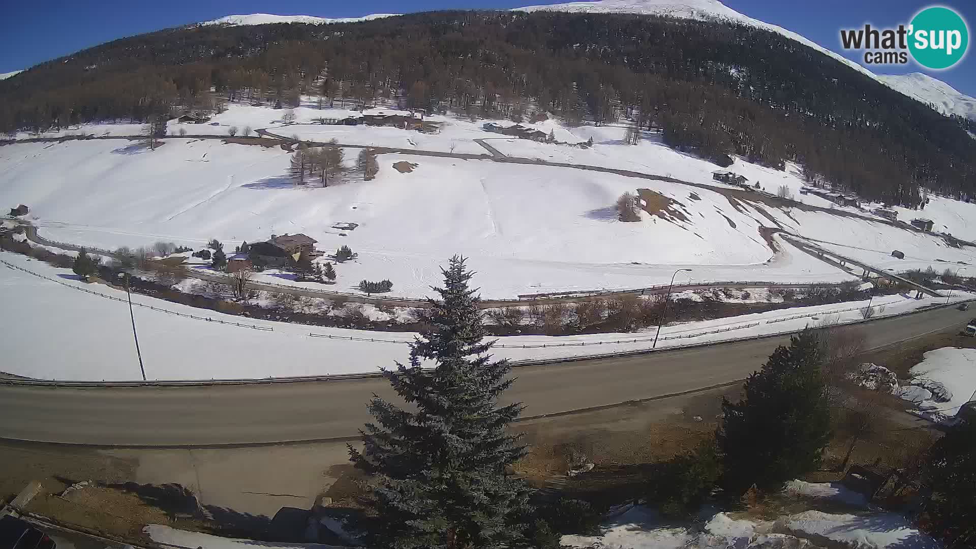 Webcam Livigno Hotel Primula
