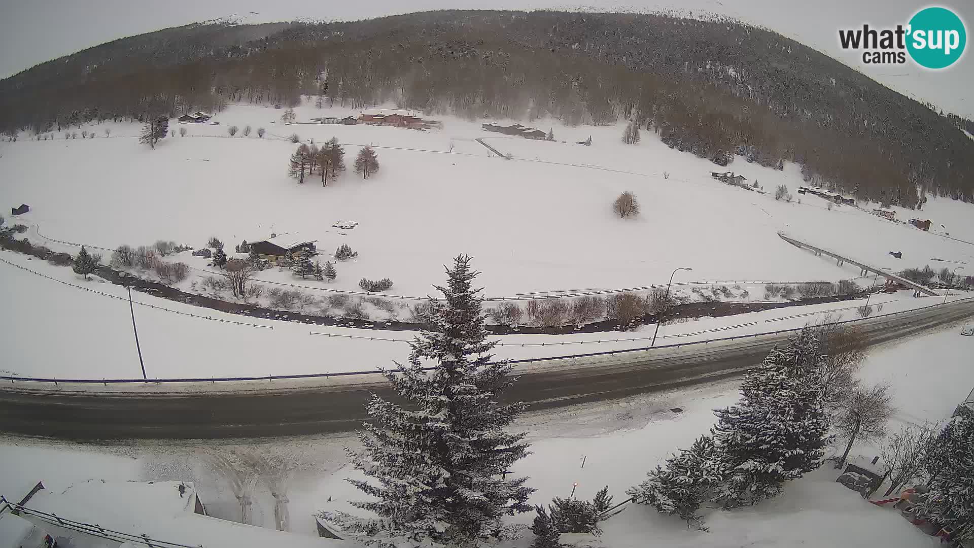 Livigno webcam LIVE Hotel Primula