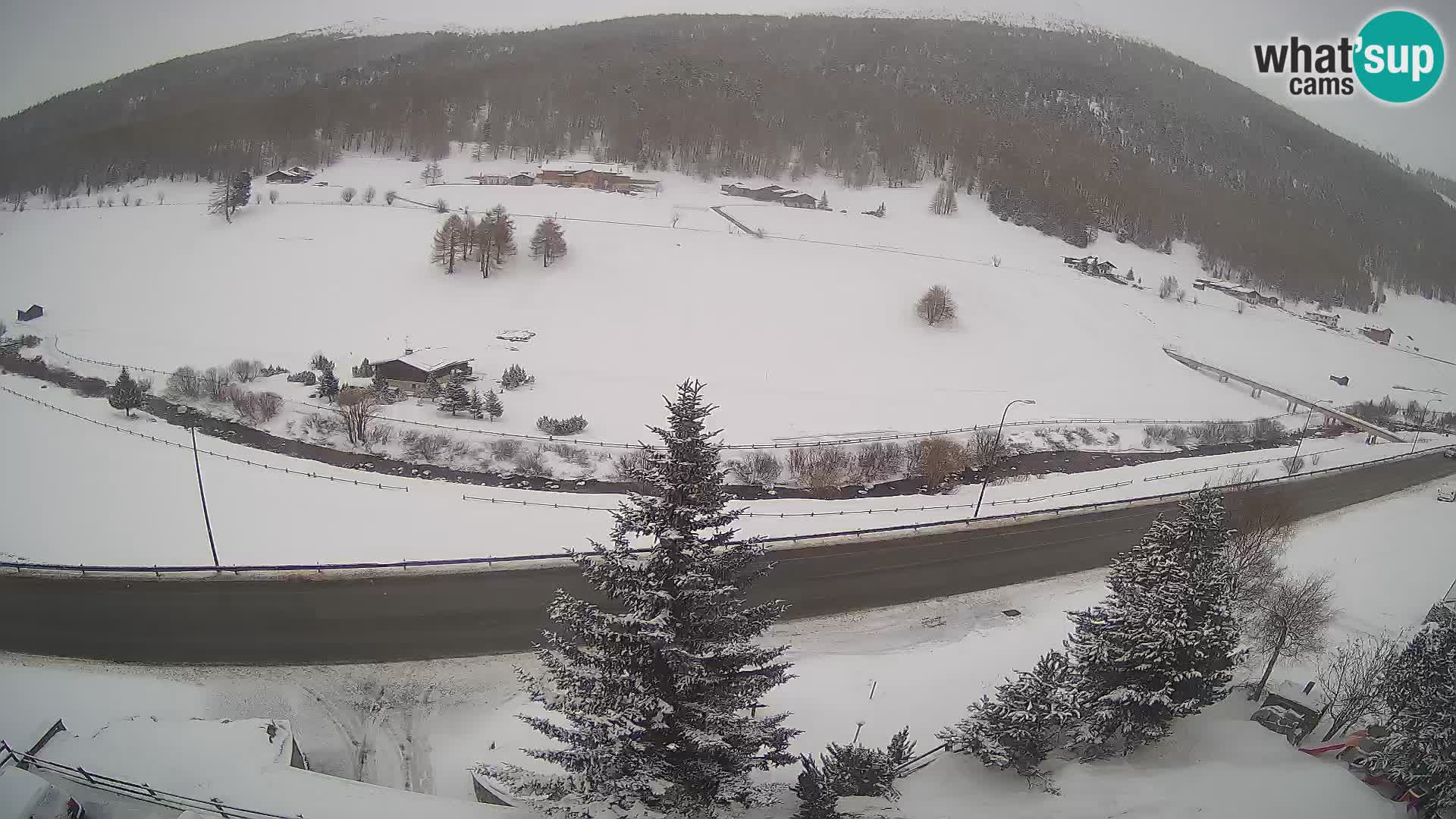 Livigno webcam LIVE Hotel Primula