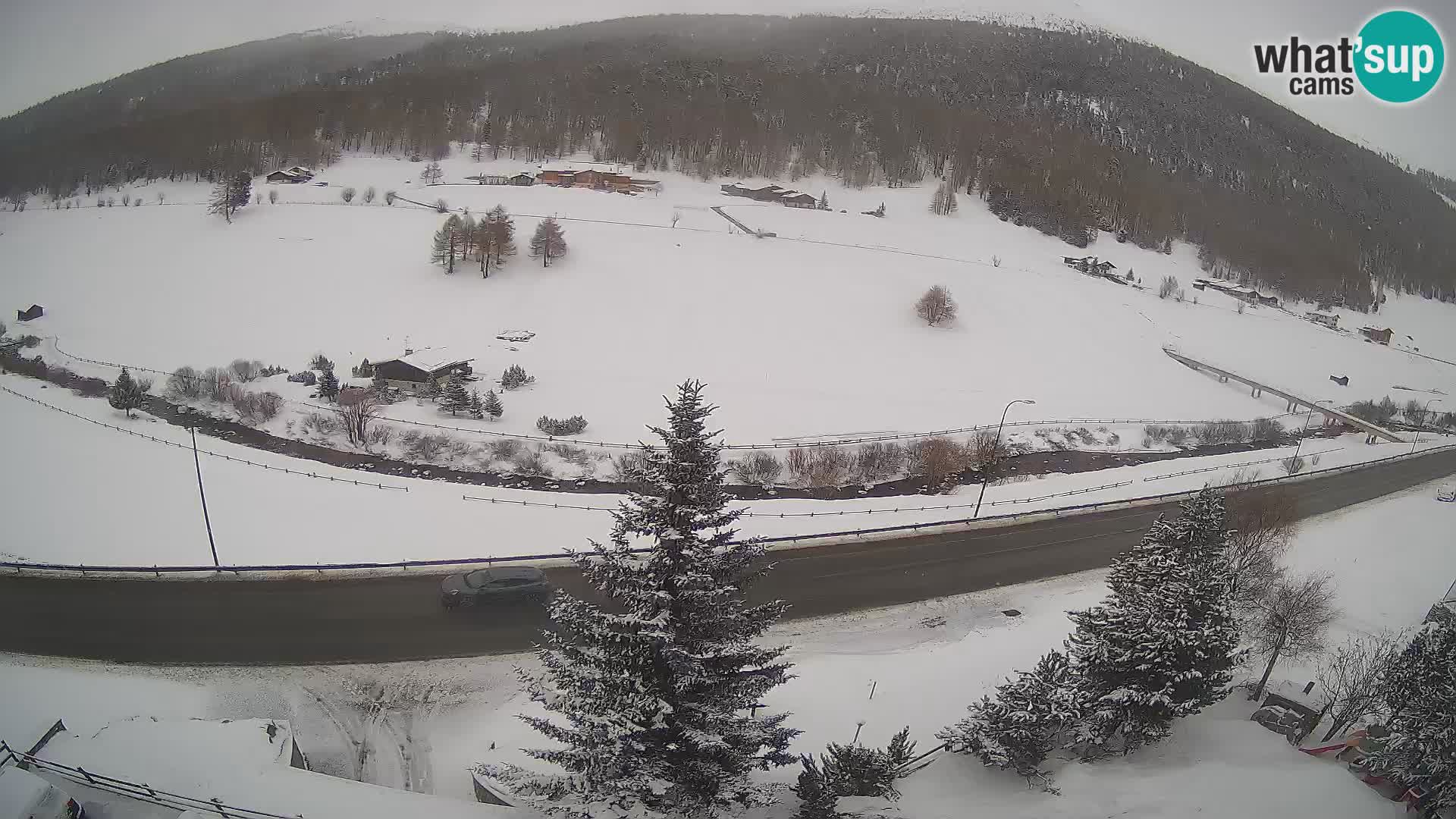 Webcam Livigno Hotel Primula