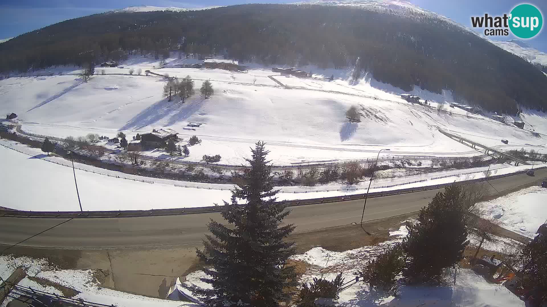Web Cam Livigno | Hotel Primula