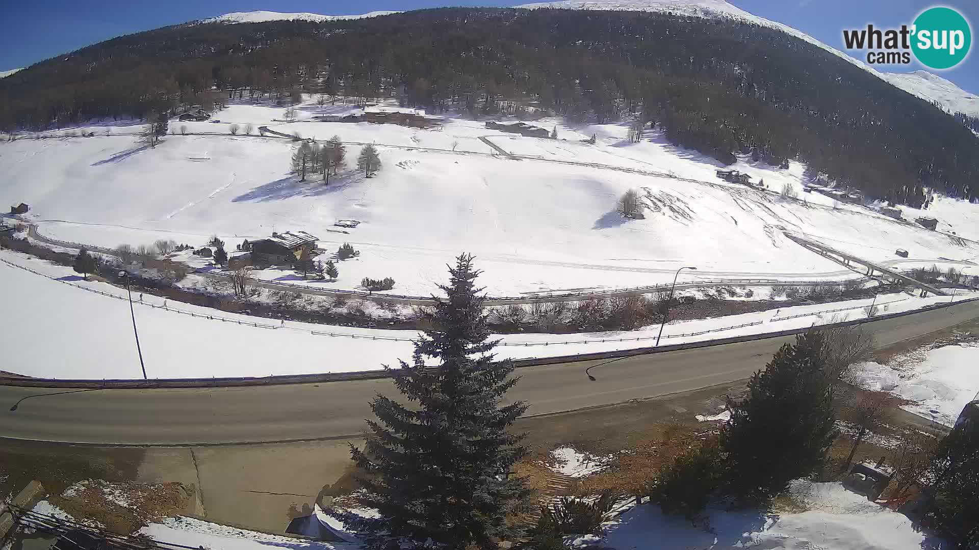 Livigno Cam Hotel Primula | Livigno smučišče