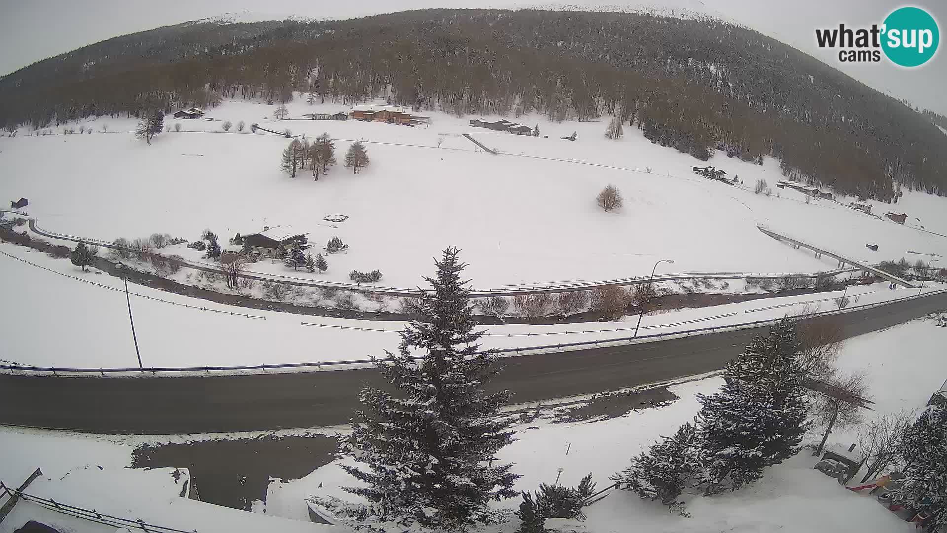 Webcam Livigno Hotel Primula