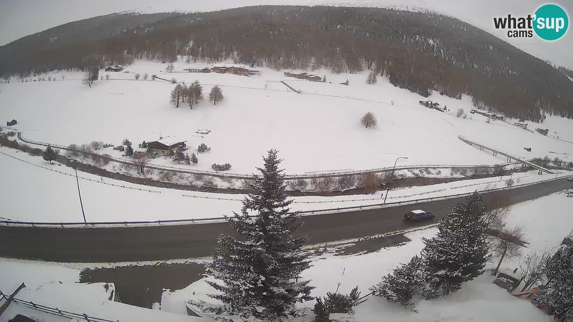 Webcam Livigno Hotel Primula