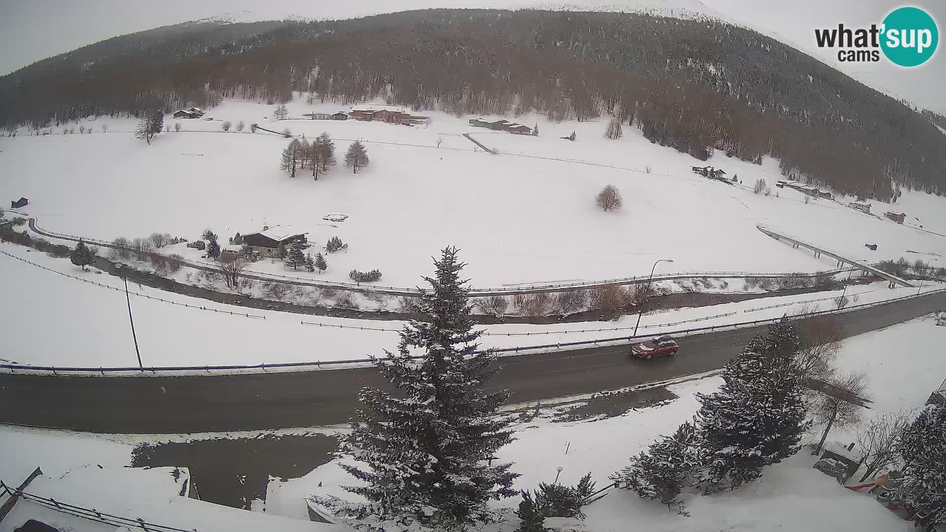 Web Cam Livigno | Hotel Primula