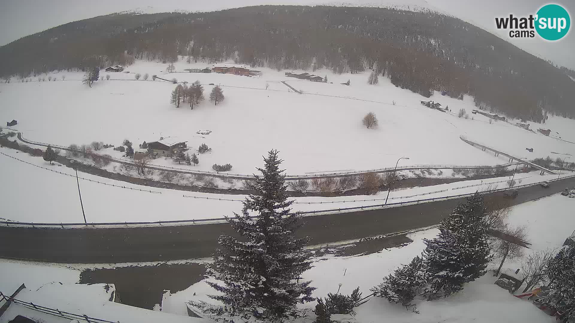 Livigno Cam Hotel Primula | Livigno smučišče