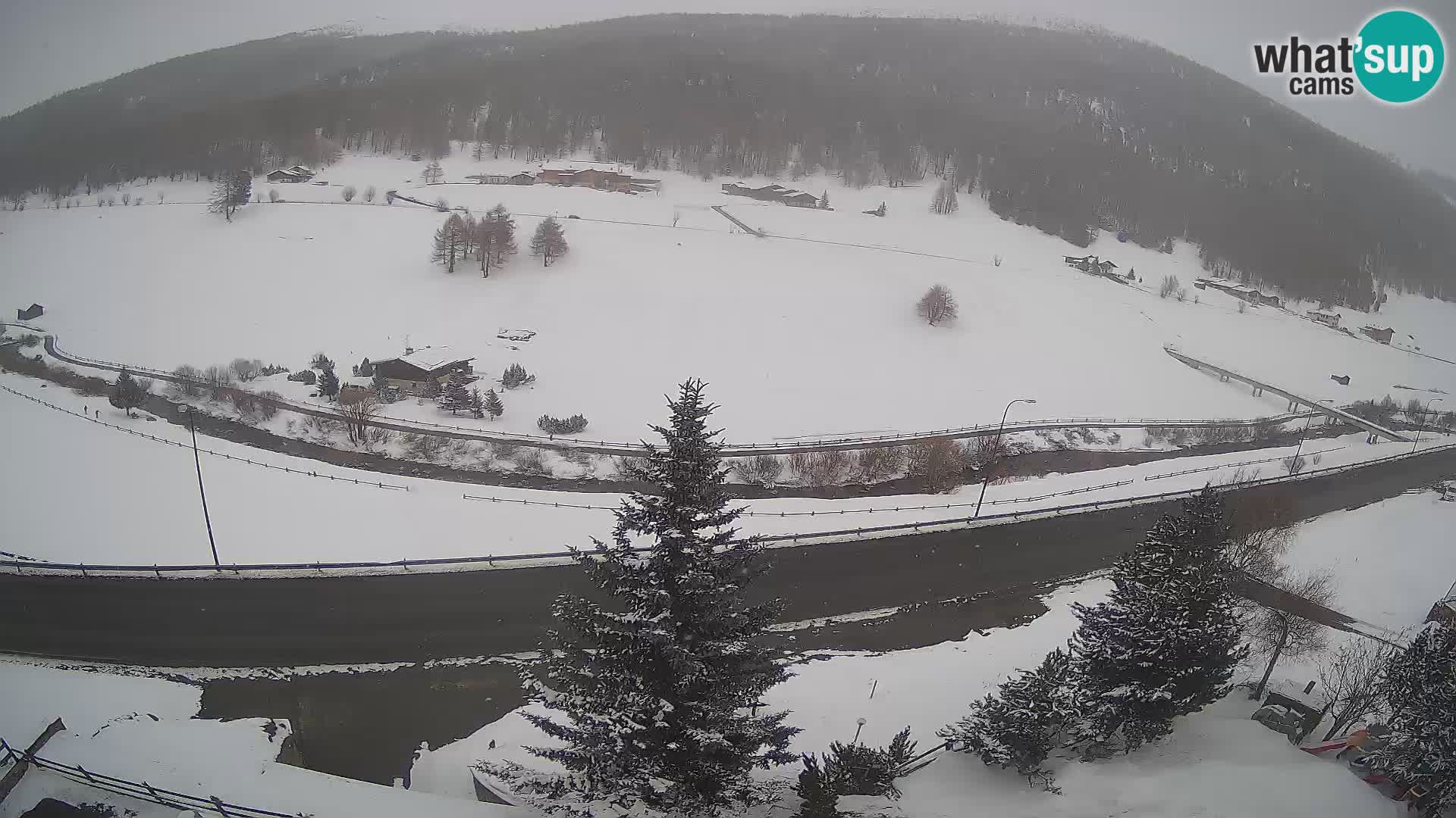 Webcam Livigno Hotel Primula