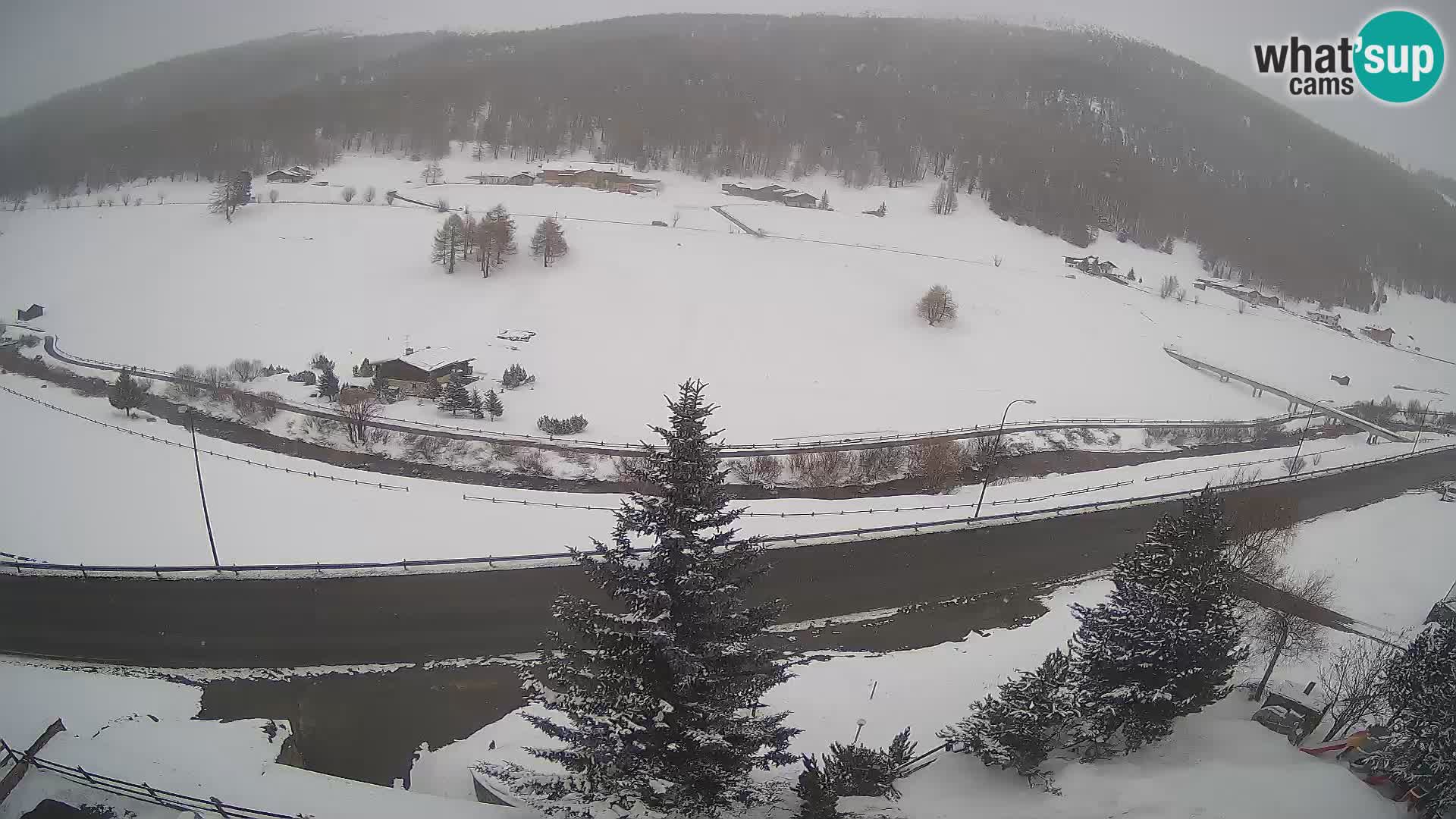 Webcam Livigno Hotel Primula