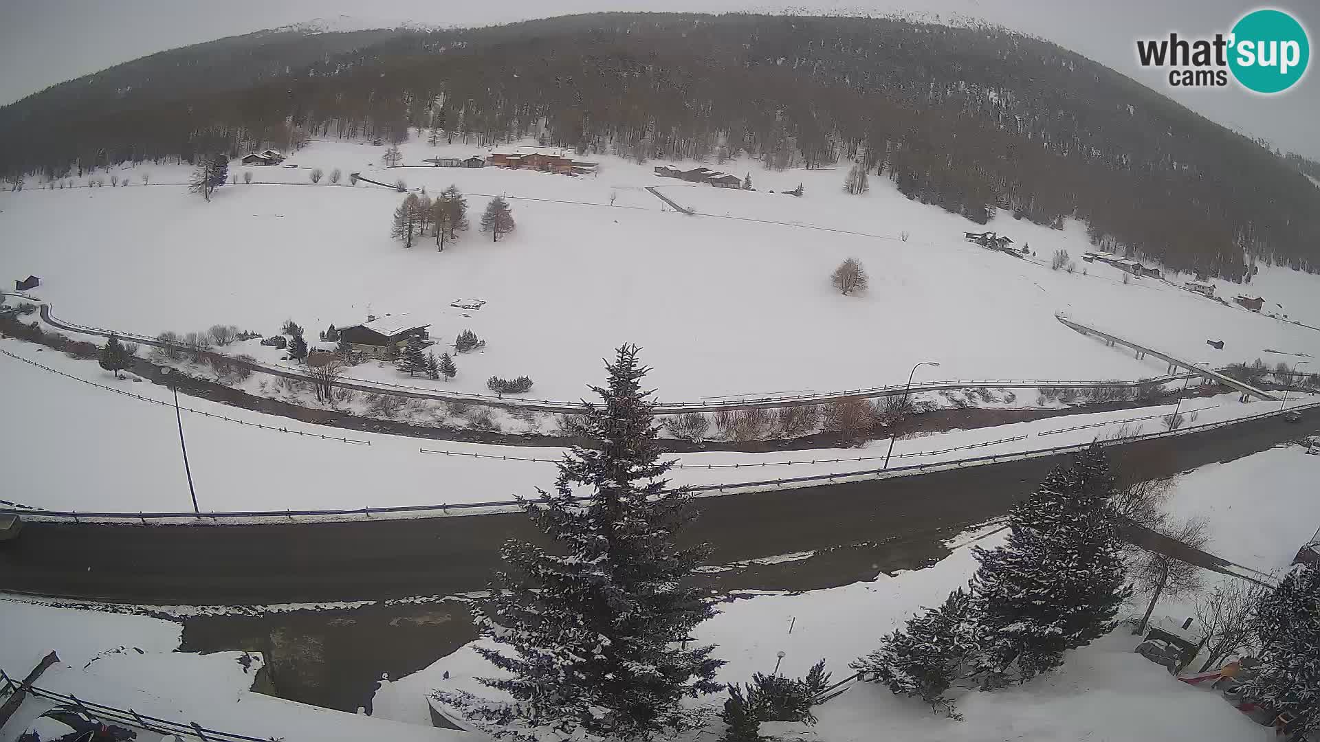 Web Cam Livigno | Hotel Primula
