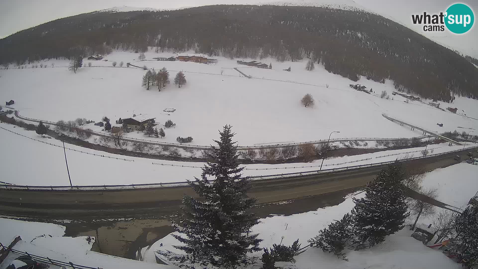 Web Cam Livigno | Hotel Primula