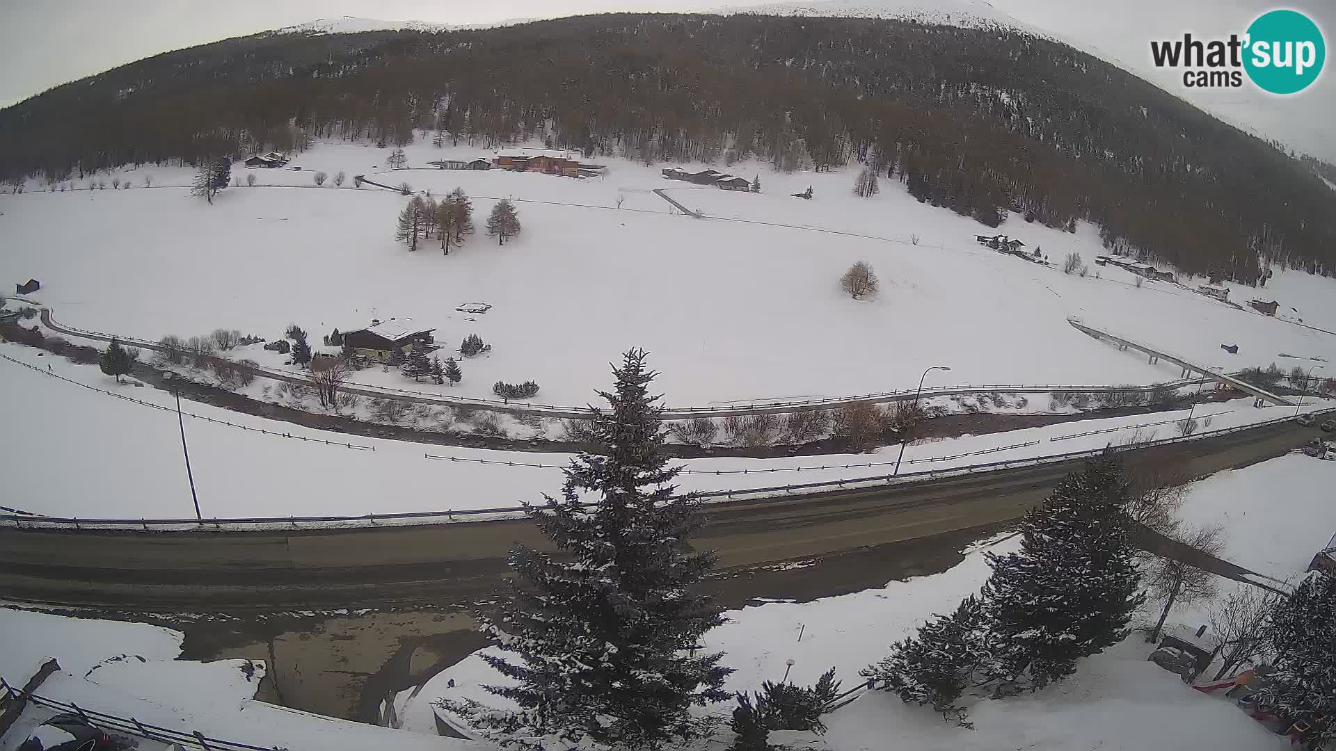 Livigno Hotel Primula webcam