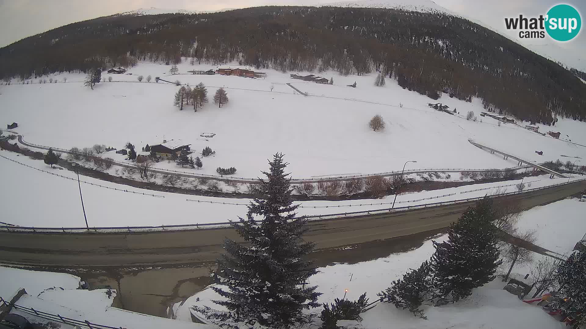 Livigno Hotel Primula webcam