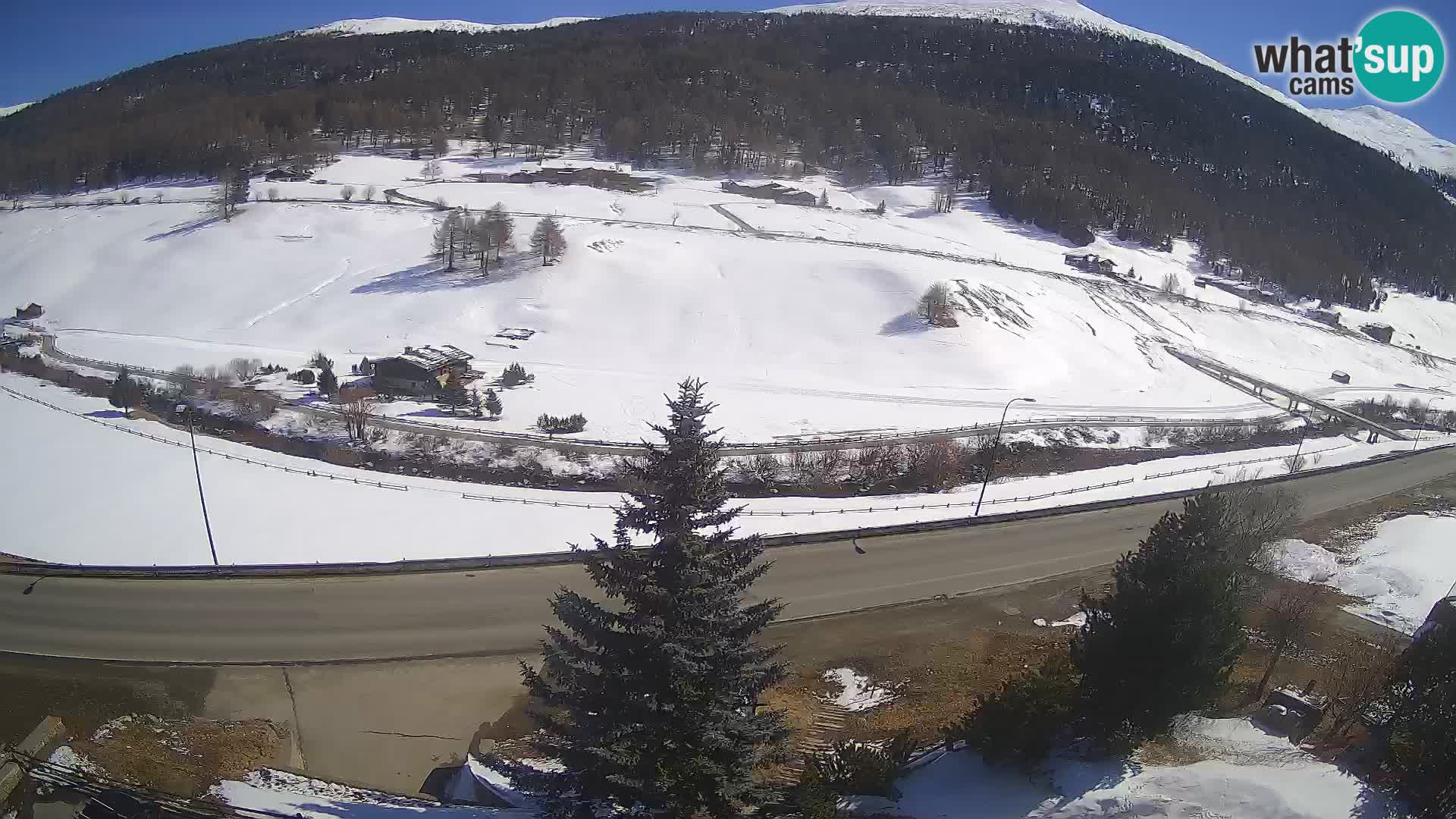 Web Cam Livigno | Hotel Primula