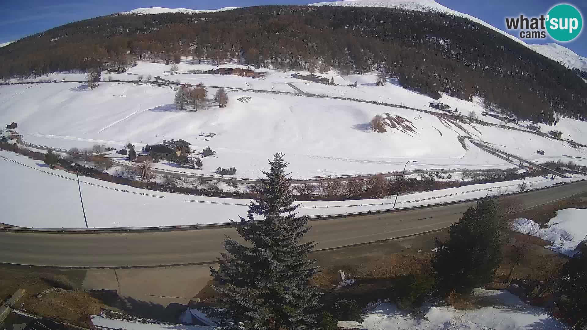 Camera Livigno Hotel Primula | ESQUIAR