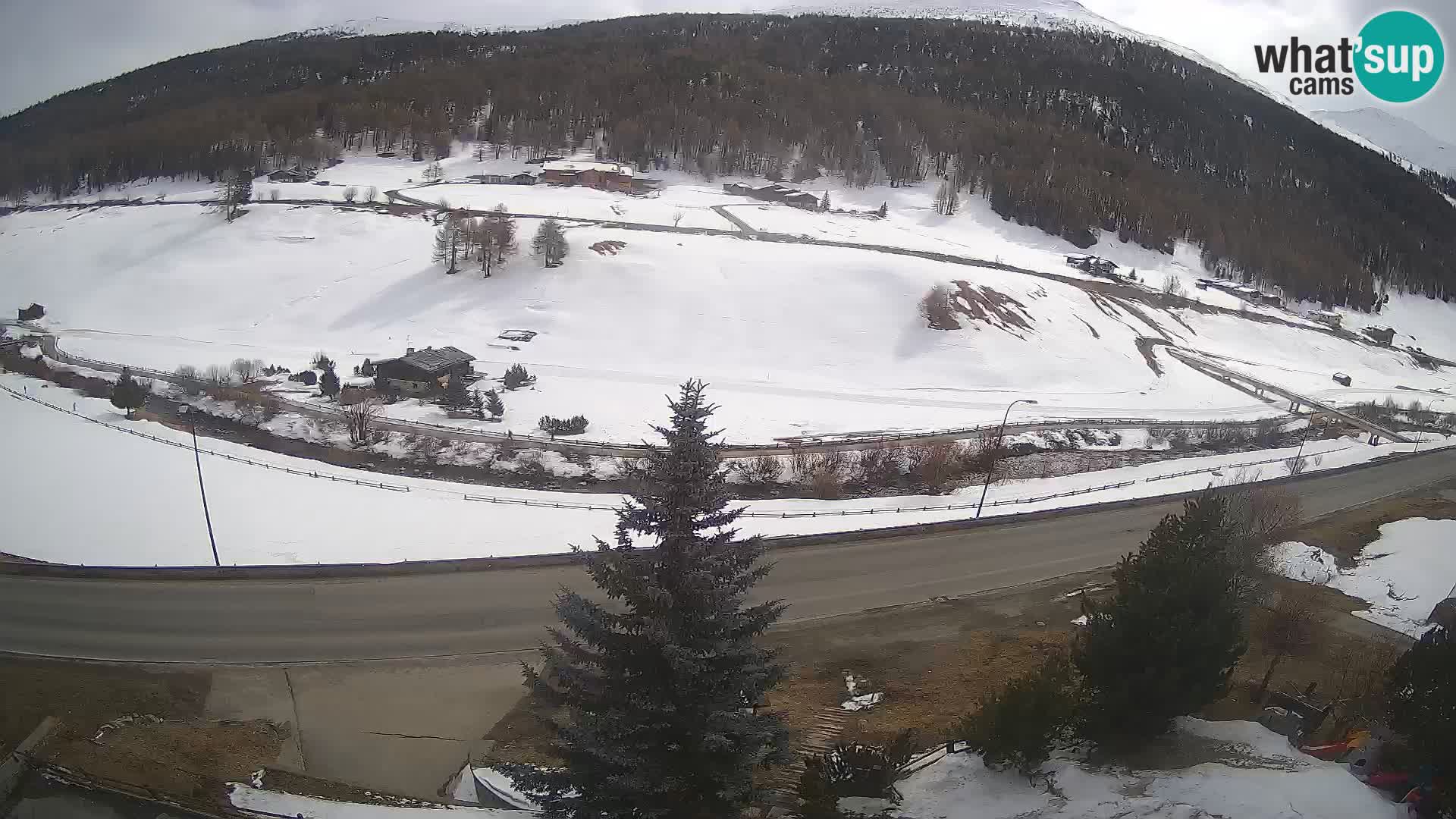 Livigno Hotel Primula webcam