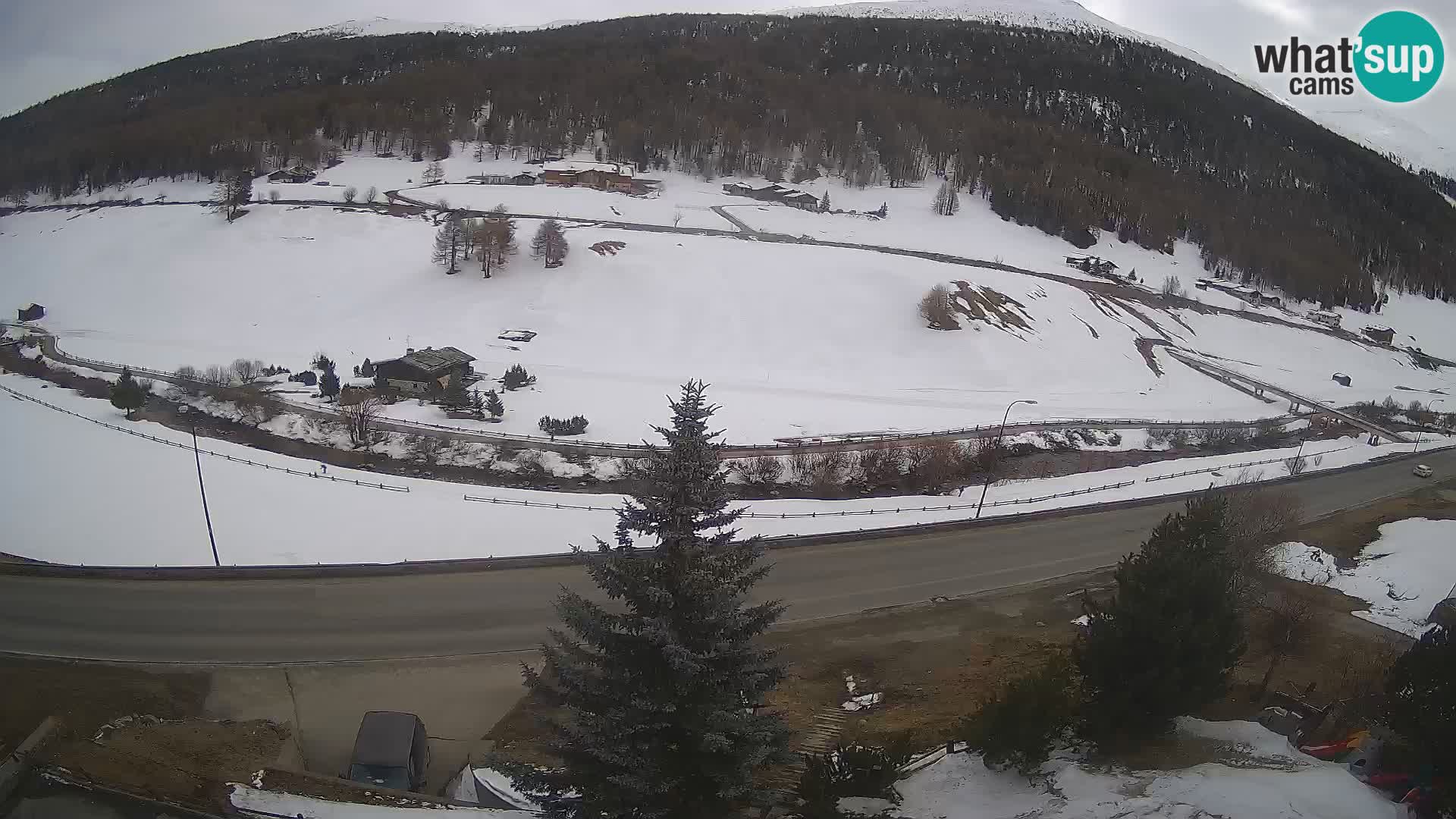 Webcam Livigno Hotel Primula