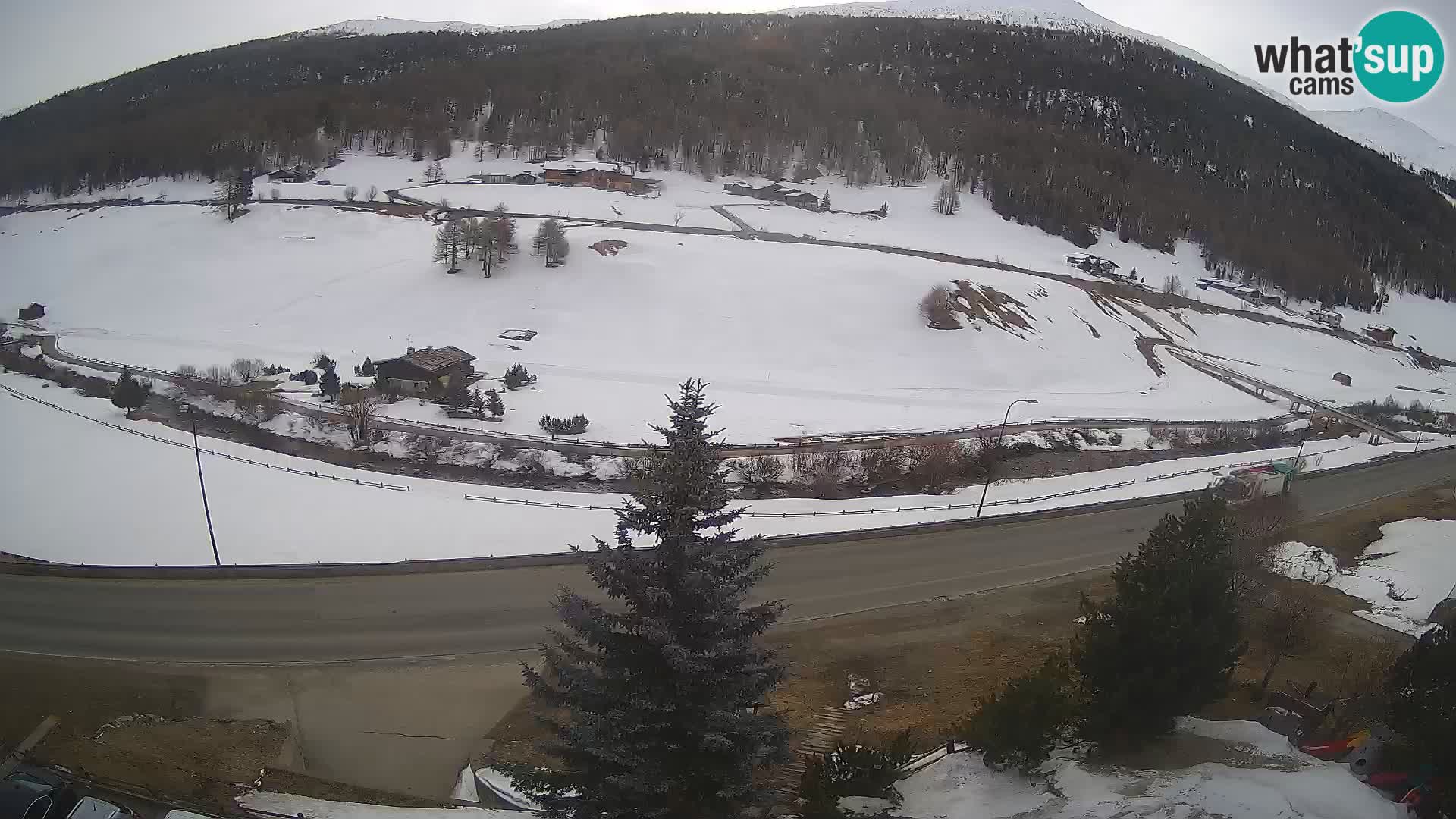 Livigno webcam LIVE Hotel Primula