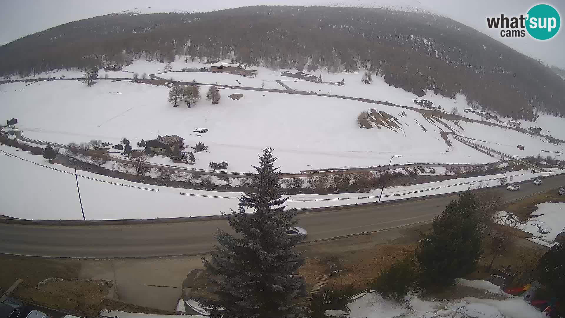 Livigno webcam LIVE Hotel Primula