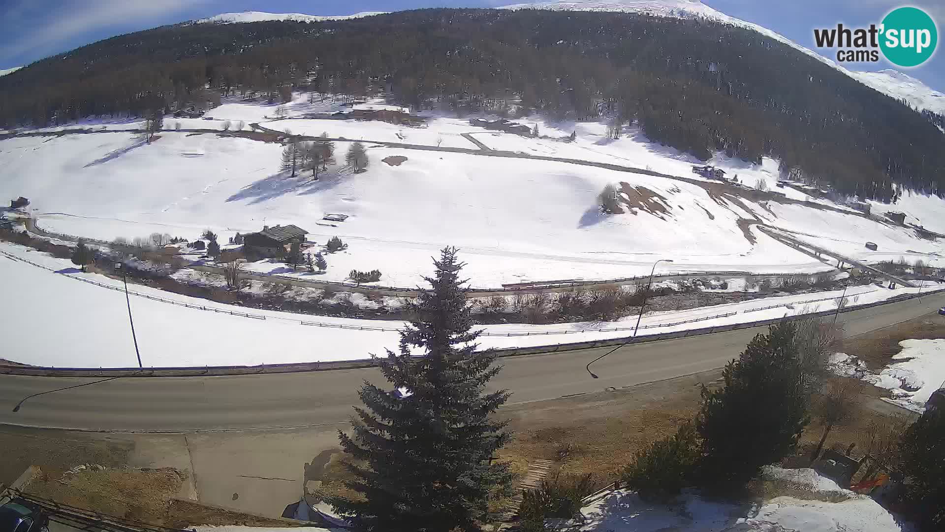 Livigno webcam LIVE Hotel Primula