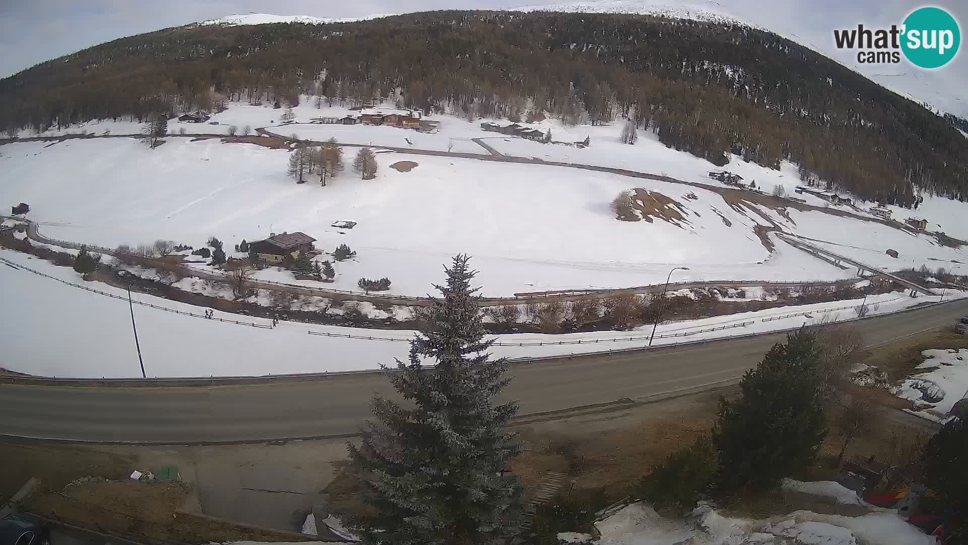 Livigno Hotel Primula webcam