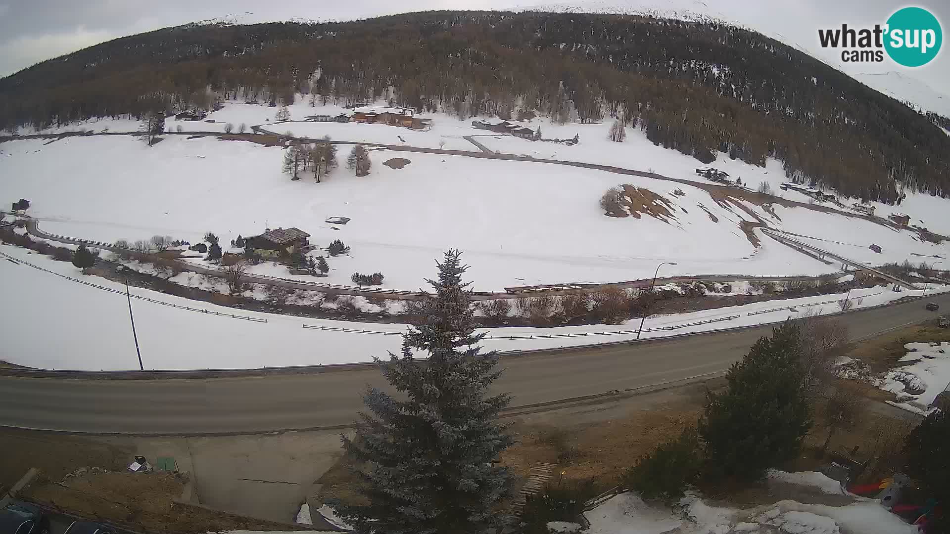 Livigno Hotel Primula webcam