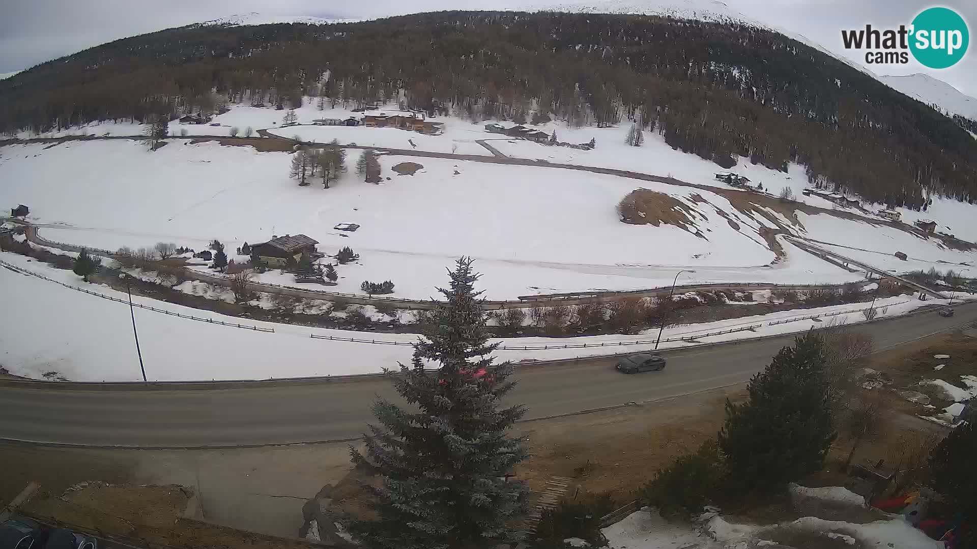 Livigno Hotel Primula webcam