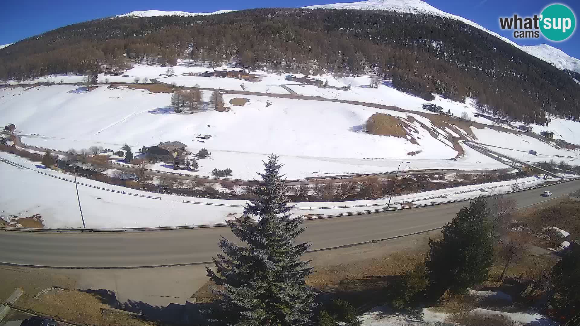Web Cam Livigno | Hotel Primula