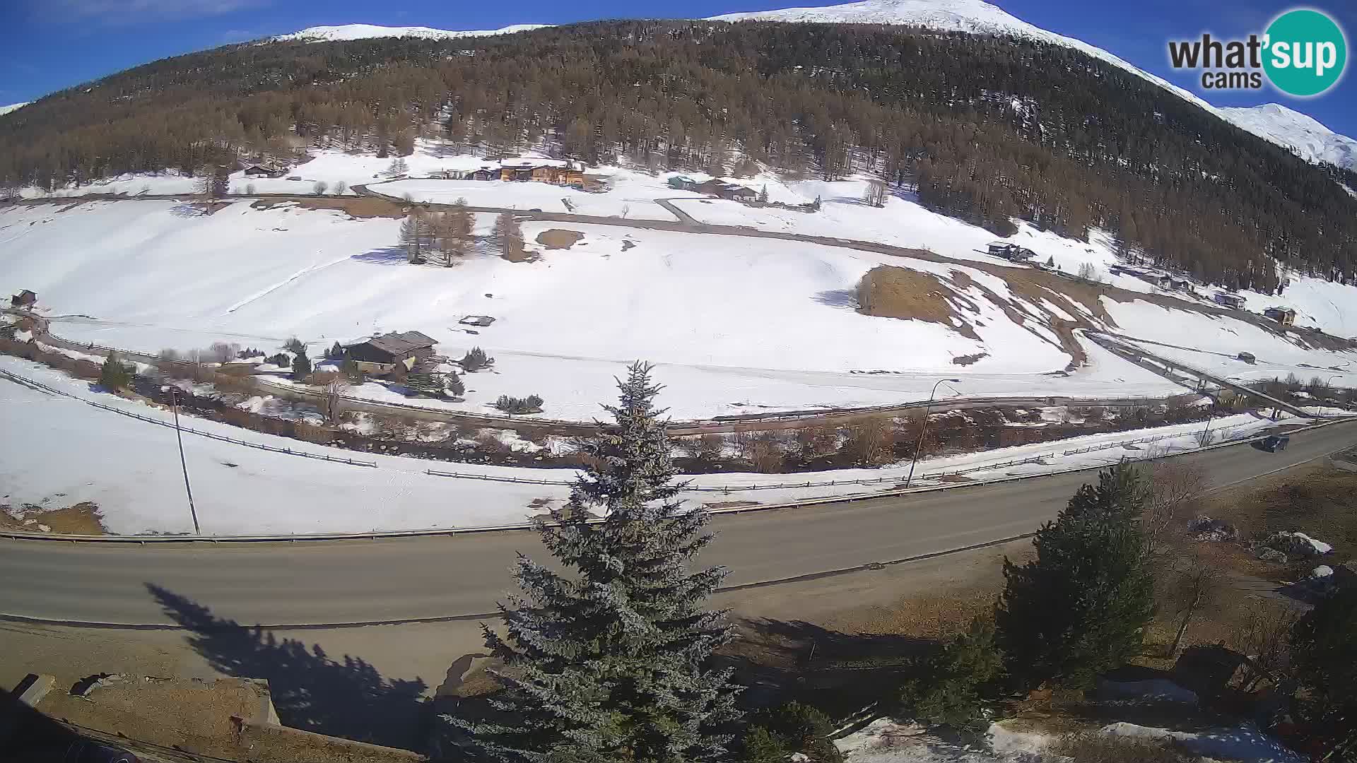 Web Cam Livigno | Hotel Primula