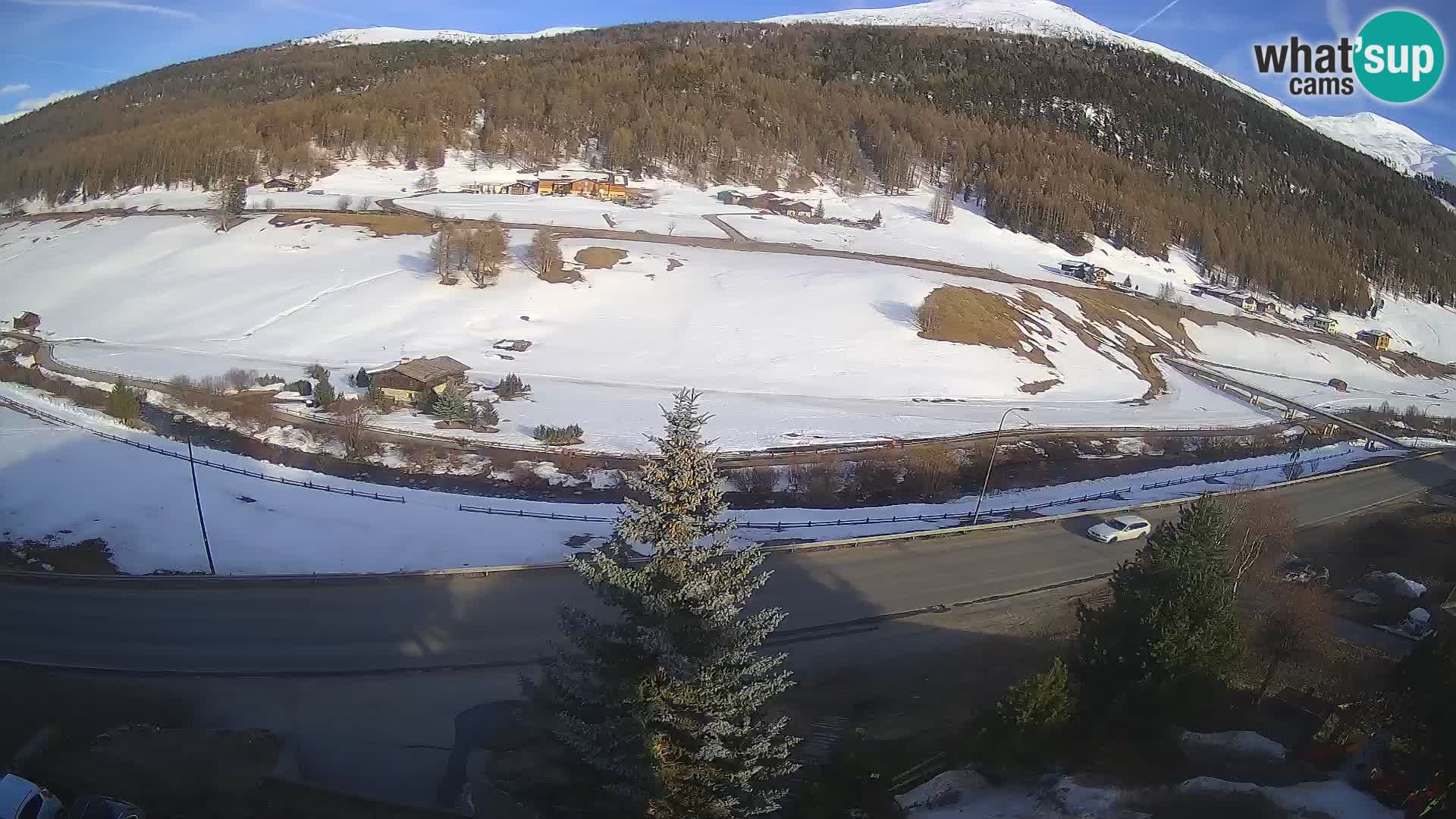 Camera Livigno Hotel Primula | ESQUIAR