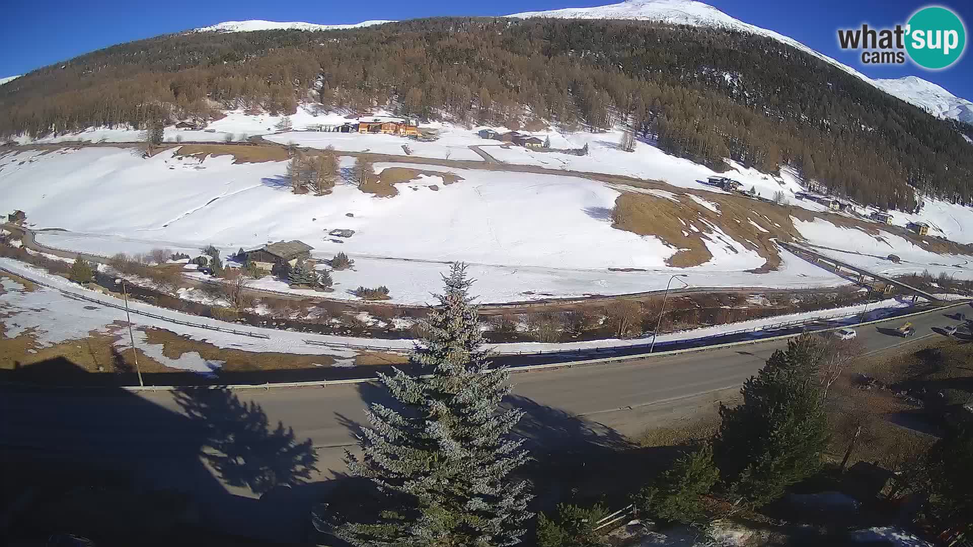 Livigno web kamera Hotel Primula