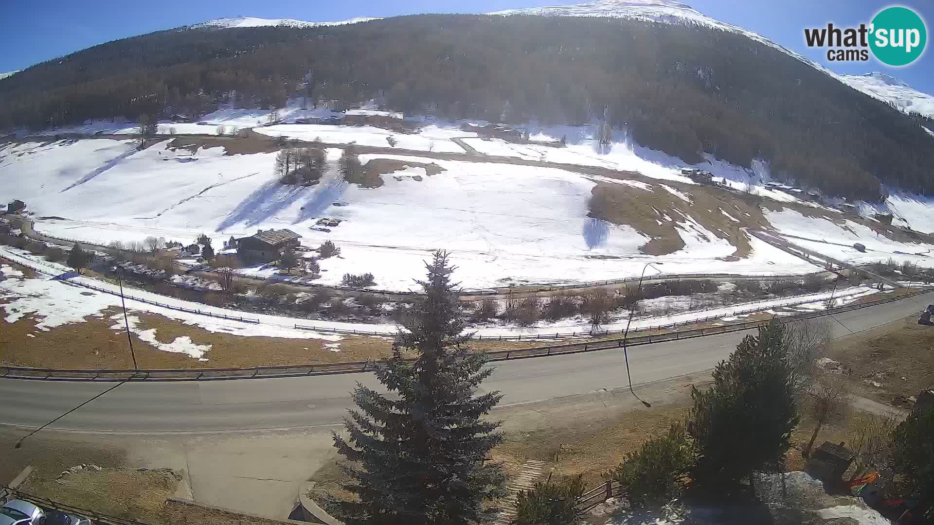 Webcam Livigno Hotel Primula