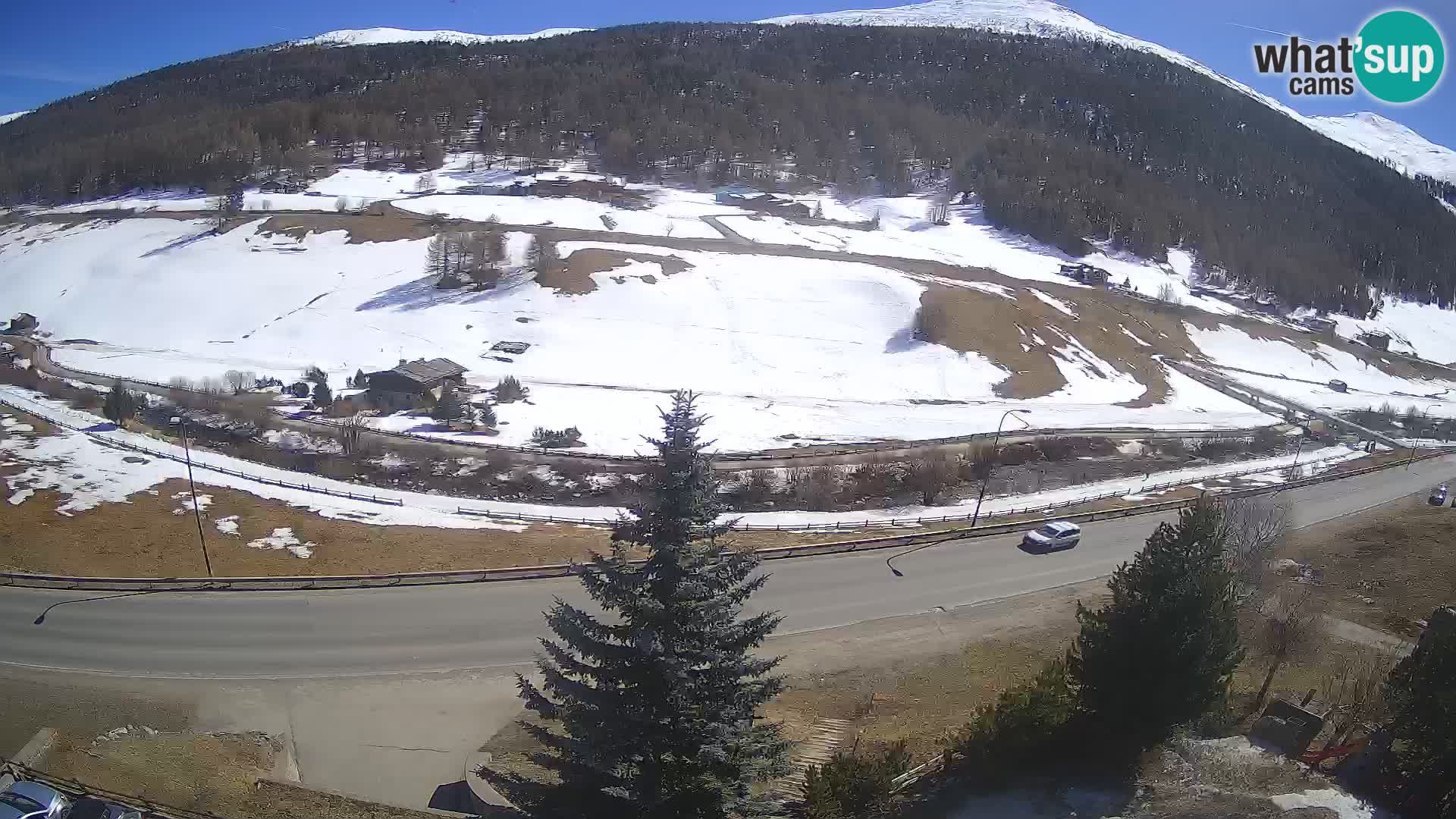 Webcam Livigno Hotel Primula