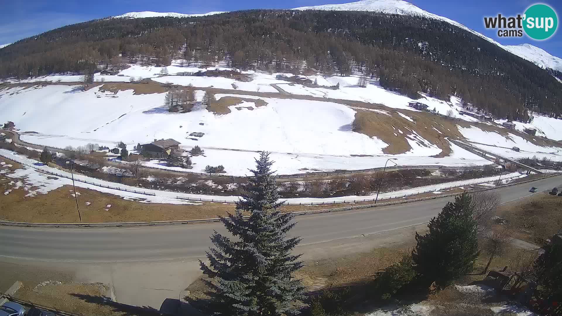 Livigno Cam Hotel Primula | Livigno smučišče