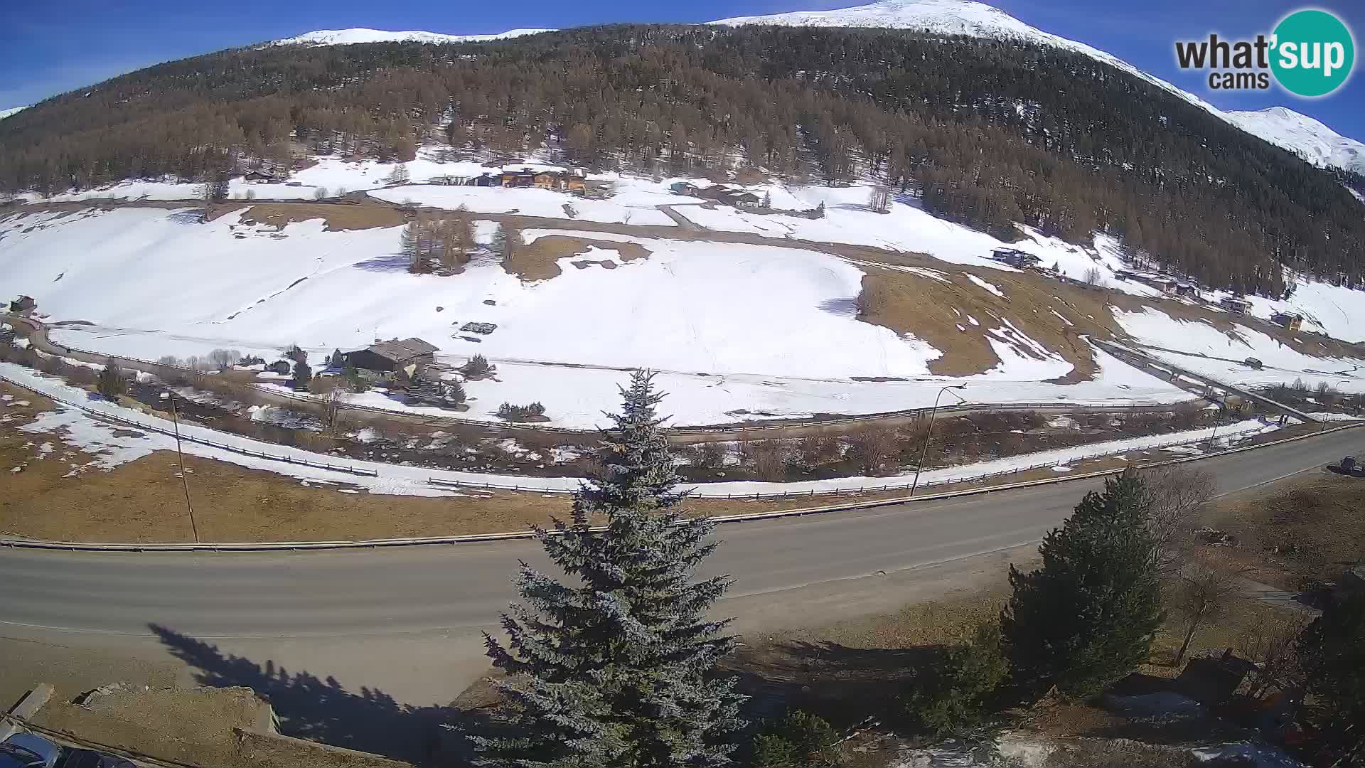 Livigno Cam Hotel Primula | Livigno smučišče