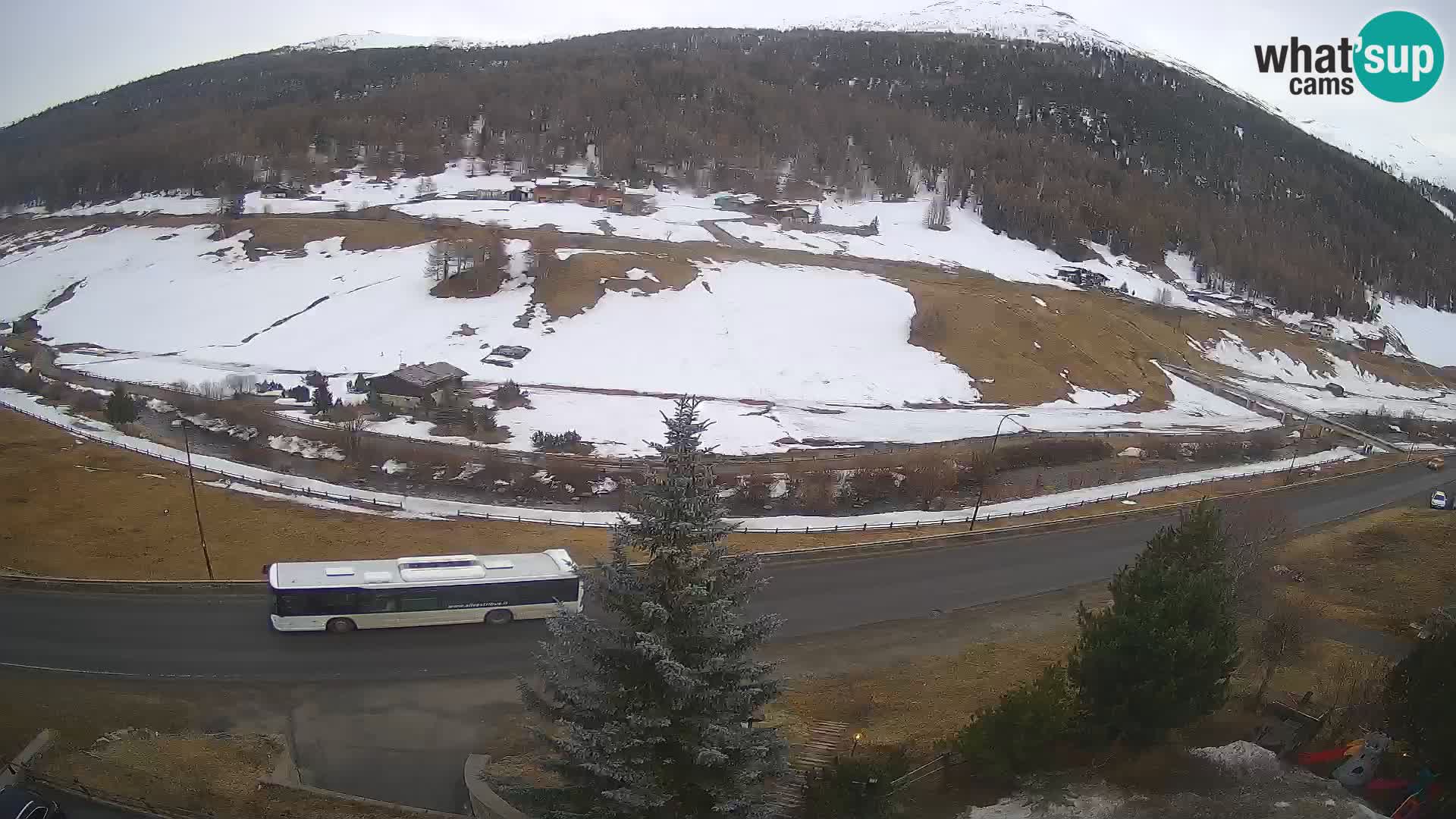 Livigno Hotel Primula webcam