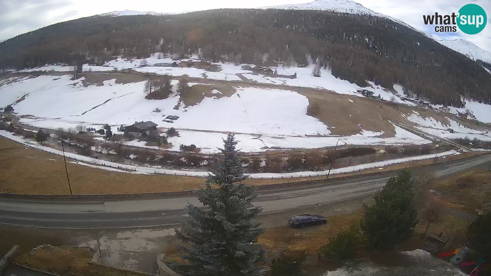 Livigno Cam Hotel Primula | Livigno smučišče