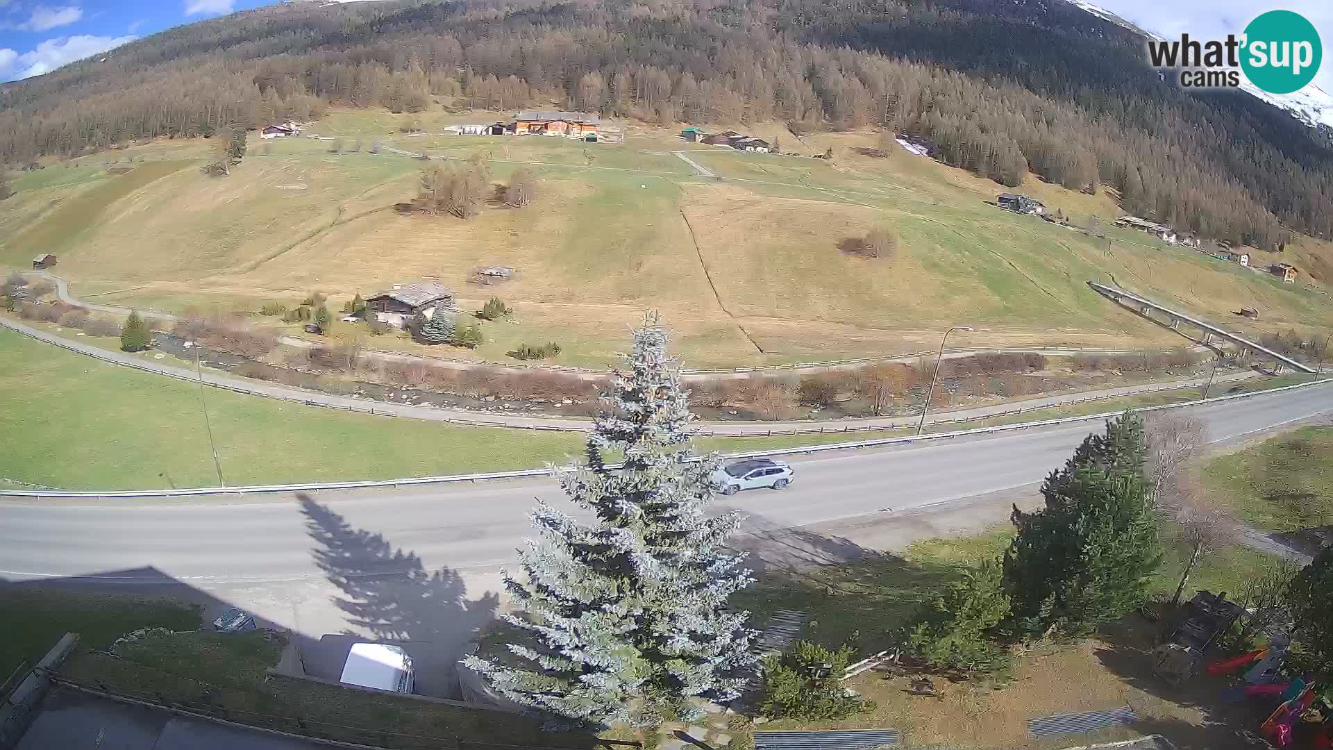 Livigno web kamera Hotel Primula