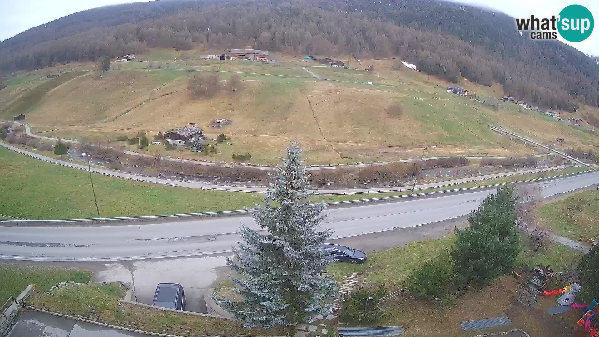 Livigno Cam Hotel Primula | Livigno smučišče