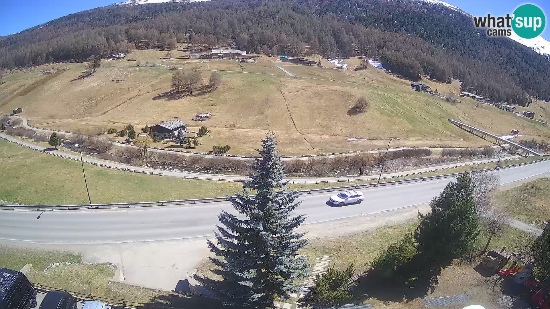 Webcam Livigno Hotel Primula