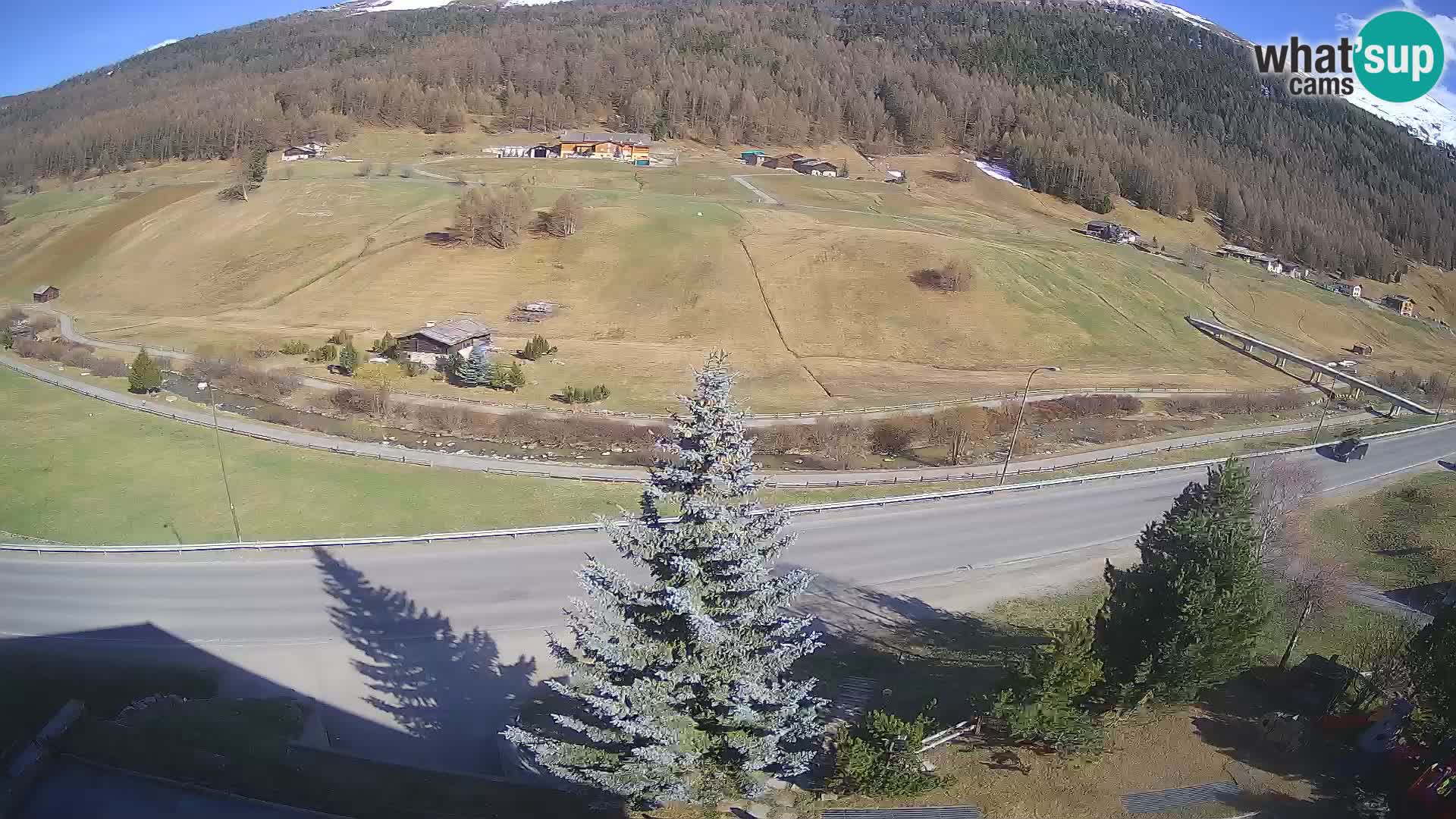 Livigno webcam LIVE Hotel Primula