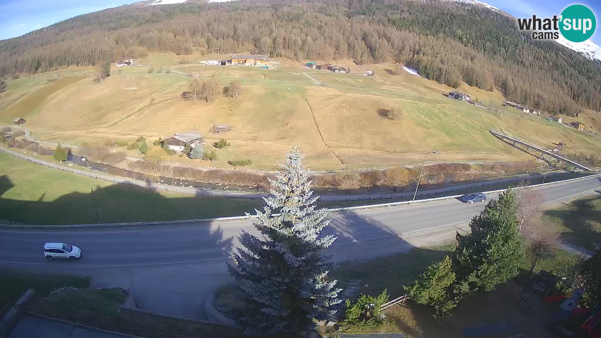 Livigno webcam LIVE Hotel Primula