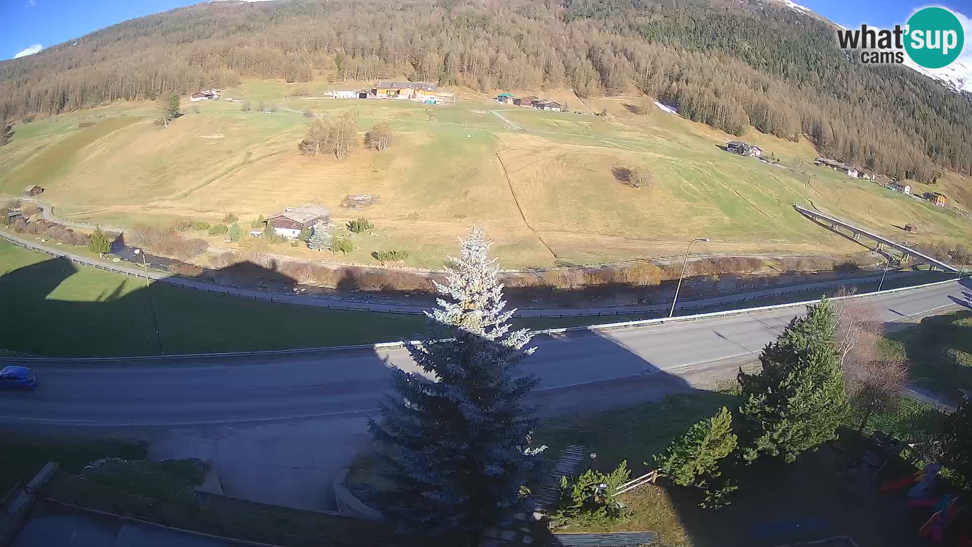 Webcam Livigno Hotel Primula