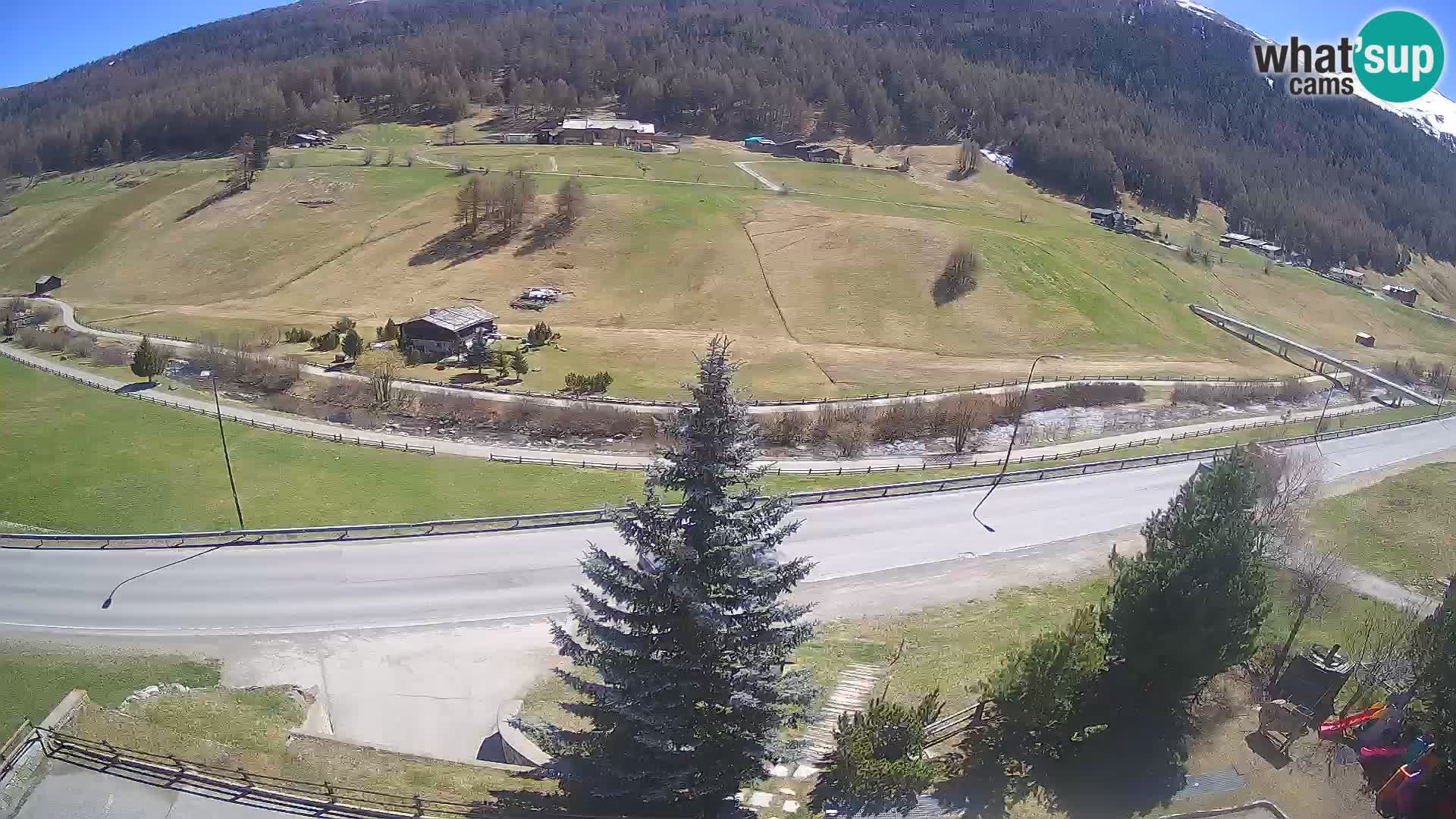 Livigno Cam Hotel Primula | Livigno smučišče