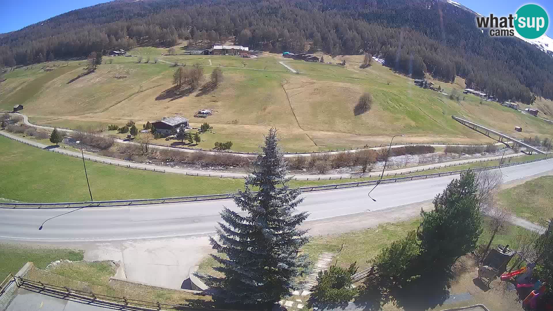 Livigno Cam Hotel Primula | Livigno smučišče