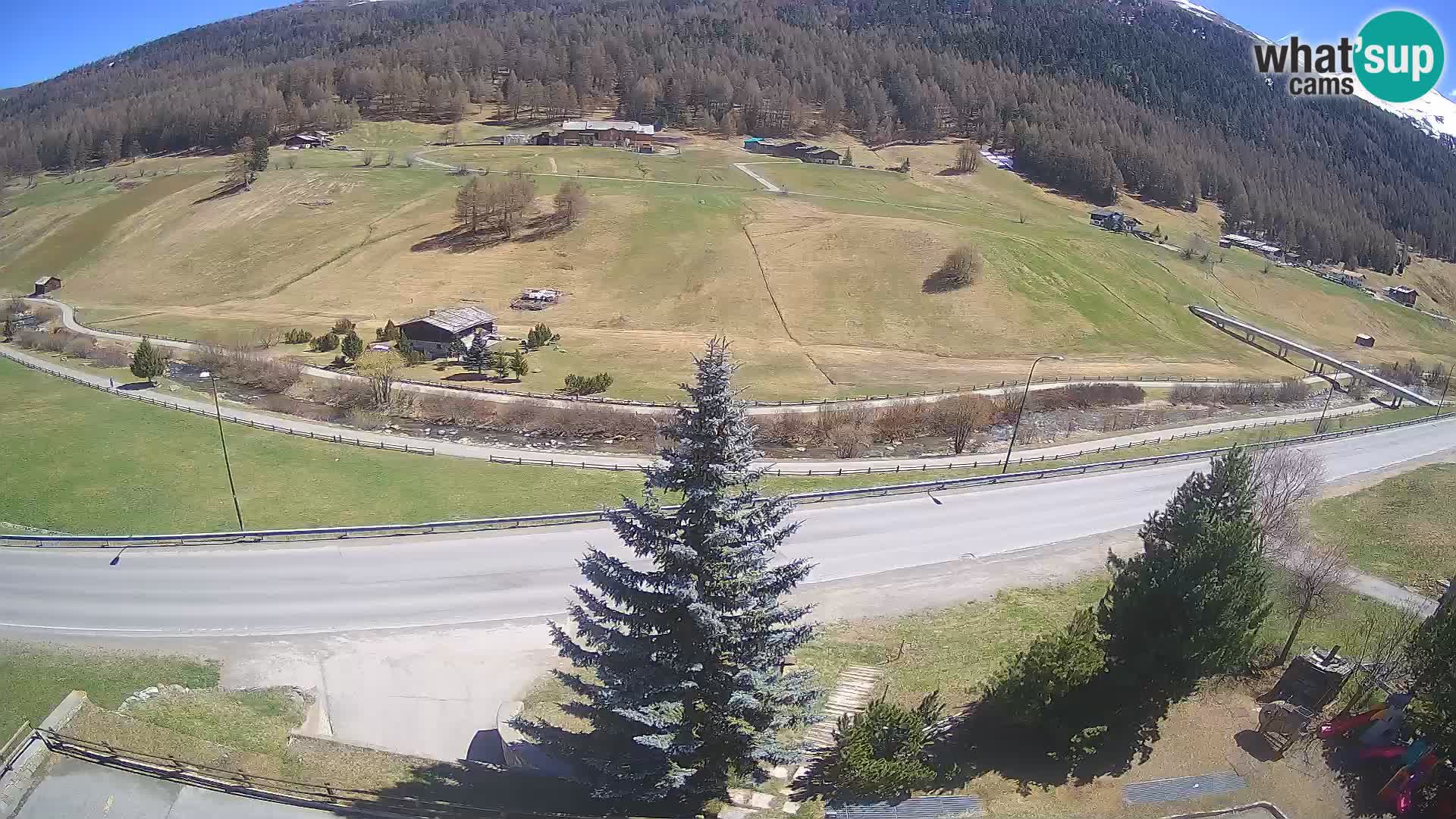 Livigno web kamera Hotel Primula